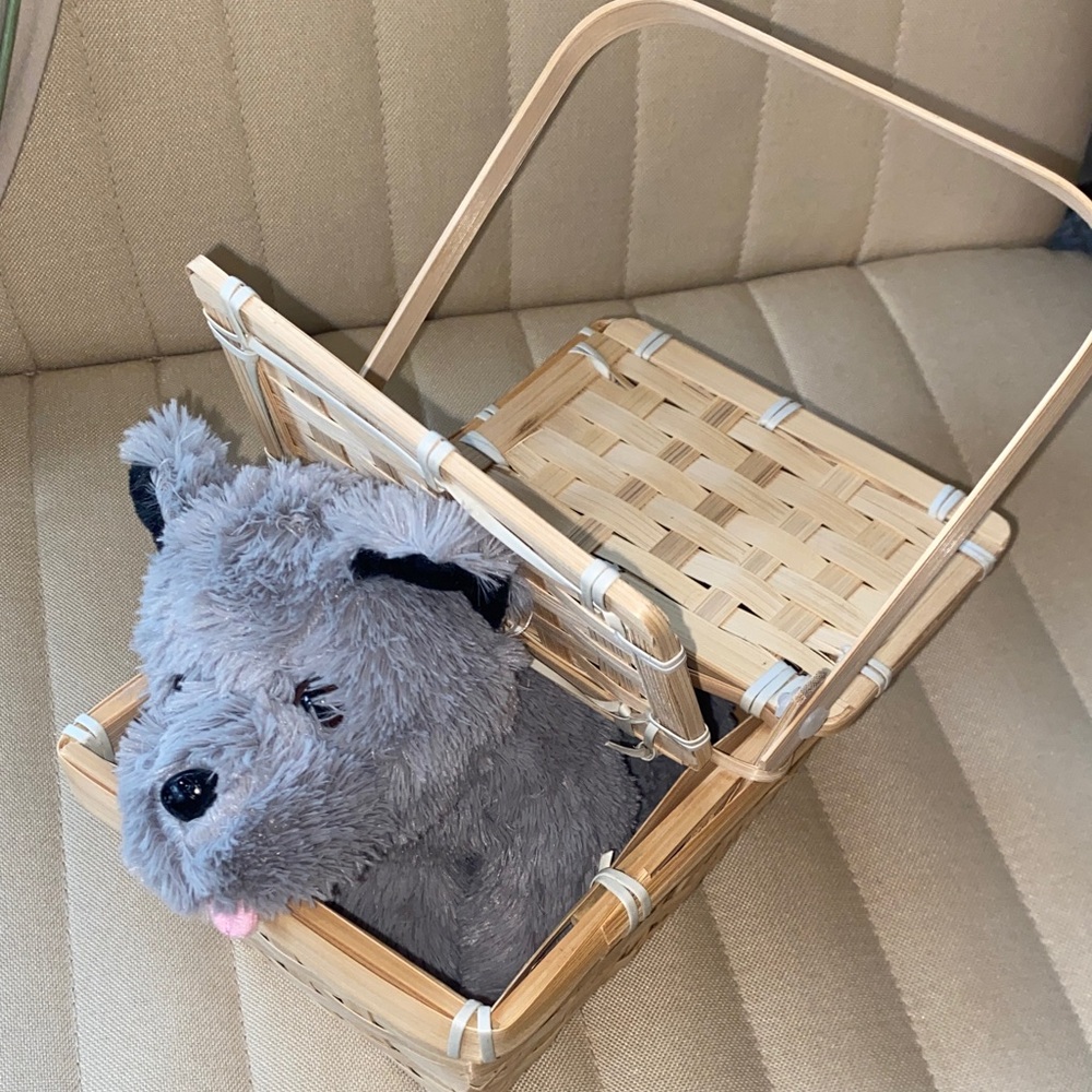 NWOT Wizard of Oz Costume Prop Toto in Basket Halloween Cosplay
